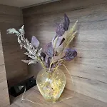 Amaya Appartamento Varna